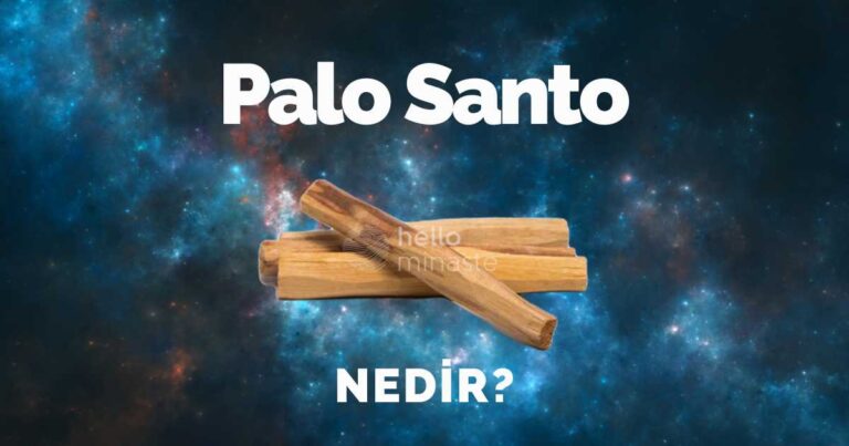 Palo Santo Nedir? Palo Santo Tütsü Özellikleri ve Faydaları Hakkında Her Şey