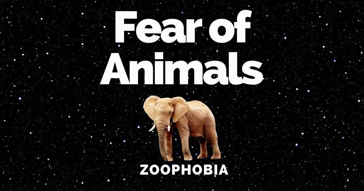 zoophobia, animal phobia, fear of animals
