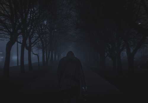 fear of dark forest at night