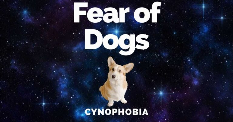 Fear/Dislike Of Dogs: Cynophobia Causes, Signs & Treatments