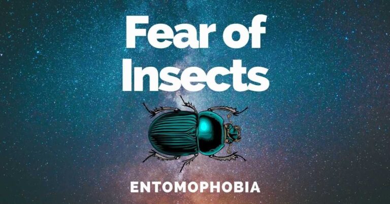 Fear Of Insects: Entomophobia Causes, Signs & Treatments