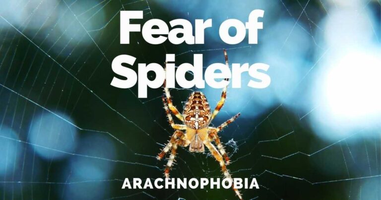 Fear Of Spiders & Arachnids: Arachnophobia Treatments